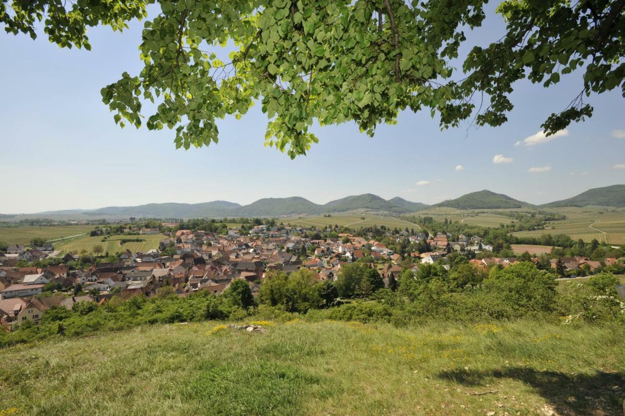 Hotel Wein-Domizil Brennofen à Ilbesheim bei Landau in der Pfalz Extérieur photo